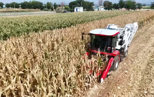 豪利777(OLE777)官方网站
