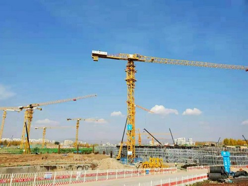 豪利777塔机助建世界屋脊最大体量会展中心